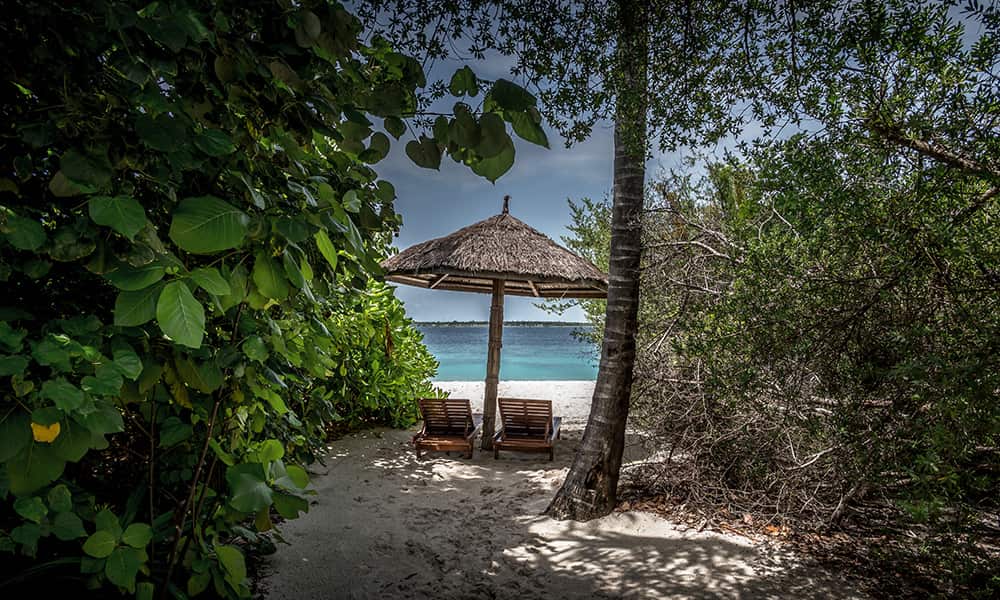 view from a beach bungalow in the Maldives on to the beach