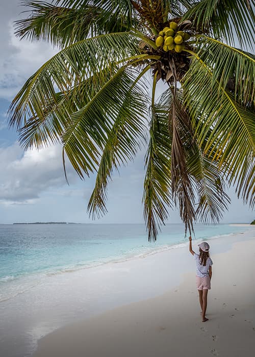 a girl holding a plam tree leaf at reethi faru Island Maldives