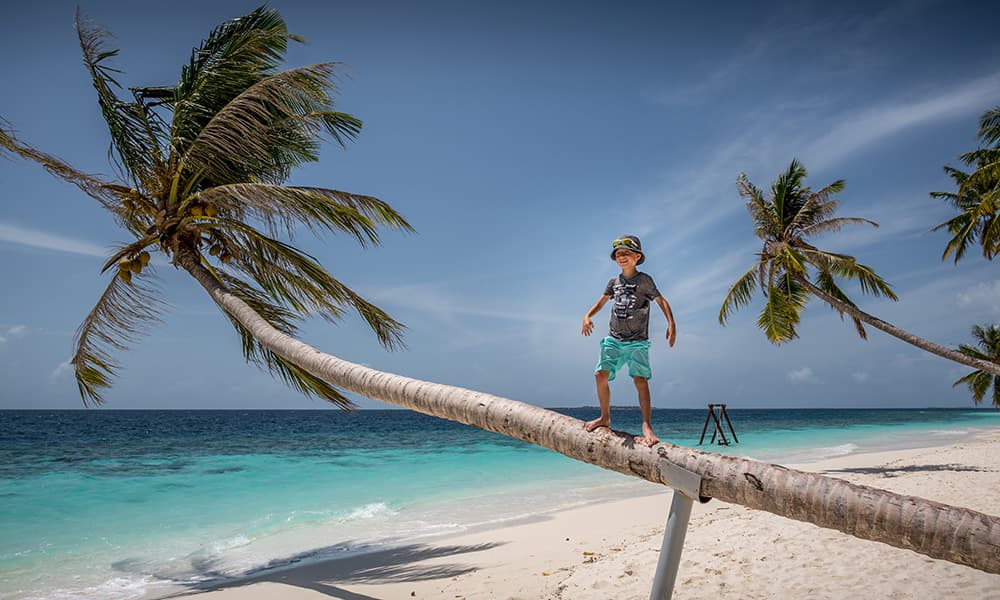 boy standing on a Palm tree crossing the beach in the Maldives