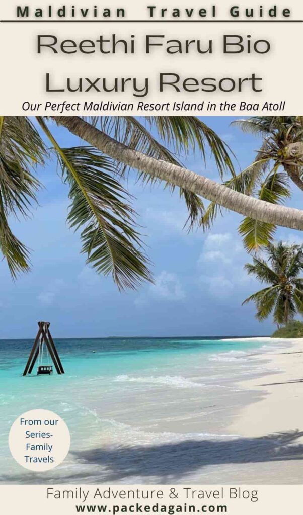 A beach with white sand and a swing in the water in the Madives