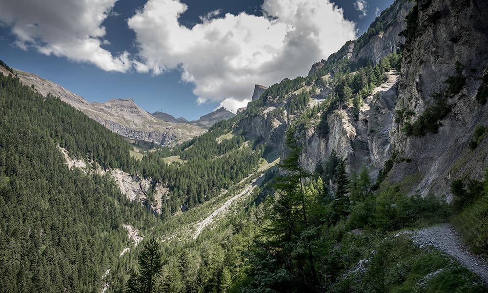 green valley in the canton of Valais in Switzerland by the Bisse du ro