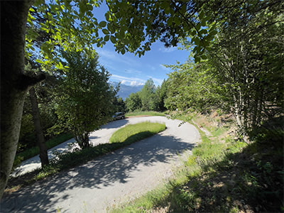 kurve along a forest road