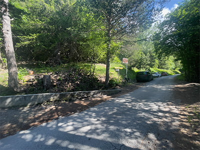 cars parked on the side way in the forest