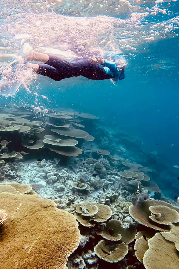 snorkelling over beautiful Coral reefs in the Maldives