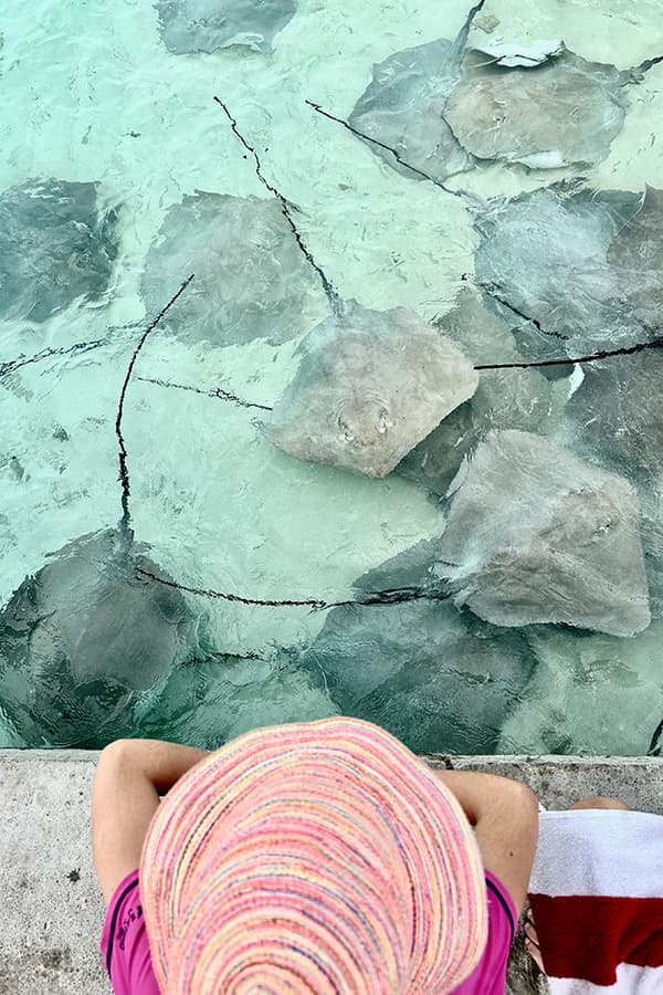 a girl wearing a pink summer hat looking down on a dozen of stingrays from ay etty