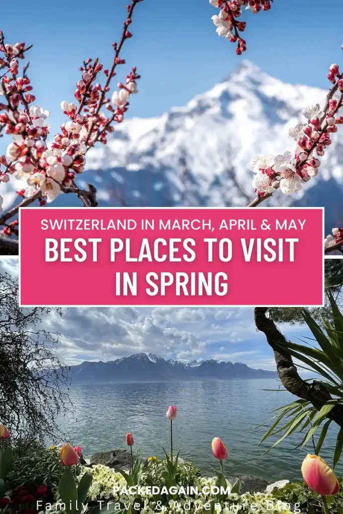Best places to see spring in Switzerland including Valais apricot blossoms, Zurich Easter fountains and Montreux tulips.