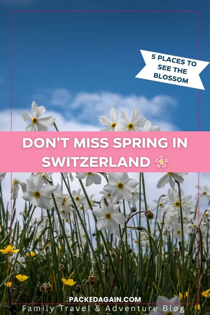 Spring in Switzerland with blooming flowers along Lake Geneva and snow-capped mountains