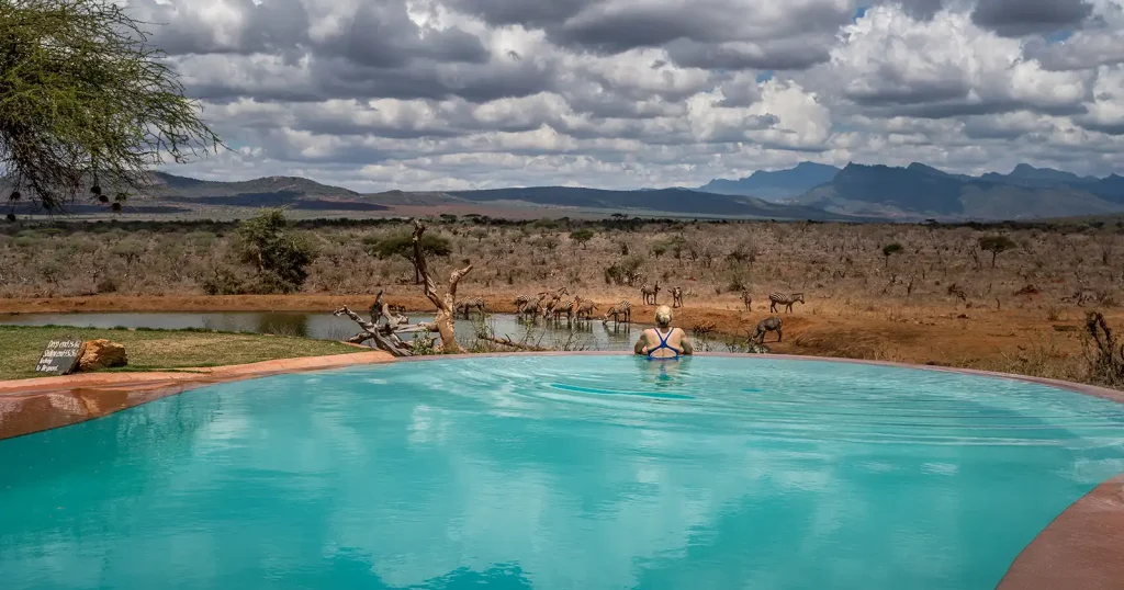 woman in an infinity pool in africa watching the elephants at the waterhole