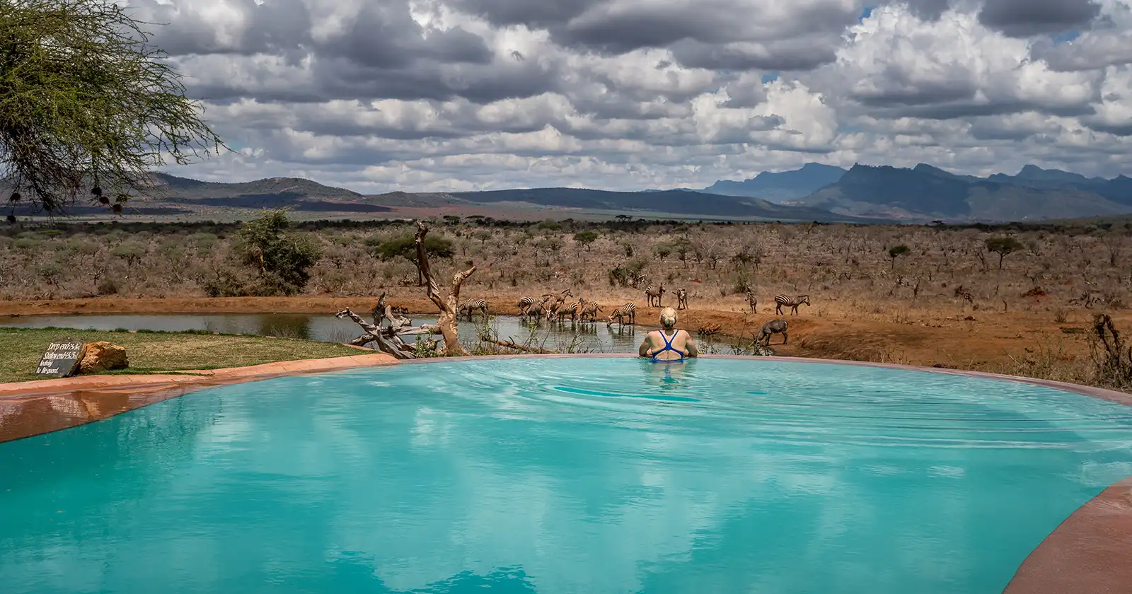woman in an infinity pool in africa watching the elephants at the waterhole