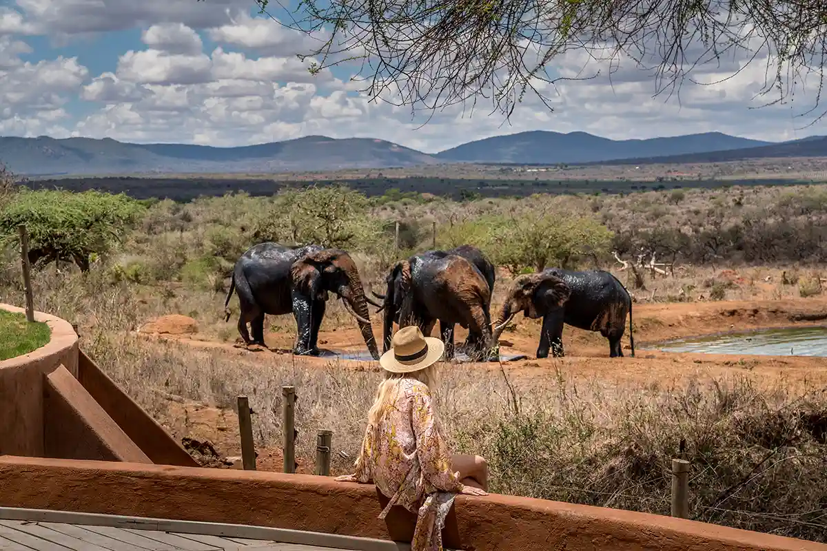woman sitting on a wall in Africa watching the elephants at the waterhole